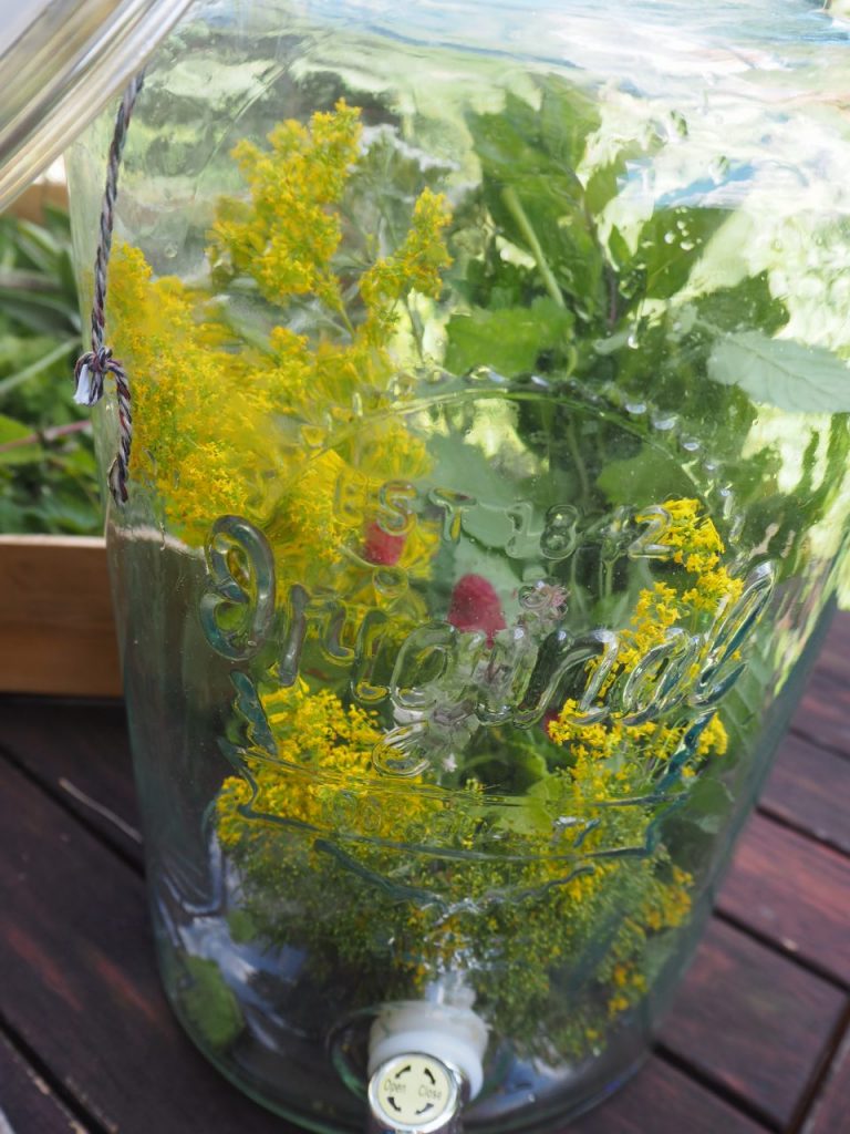 Kräuter Wasser Kräuterdudler