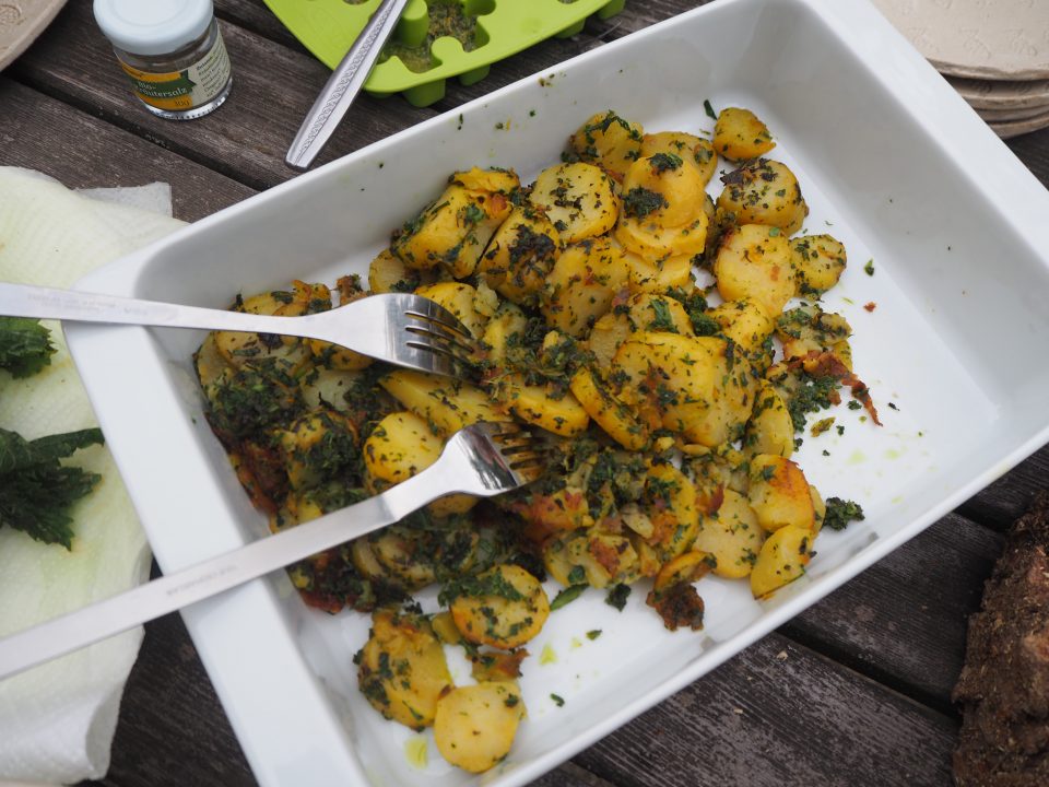 Erdäpfel Kartoffel Giersch